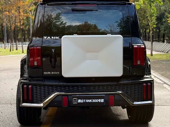 Фото 8 - Tank 300