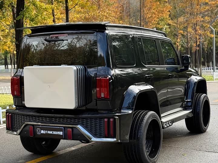 Фото 9 - Tank 300