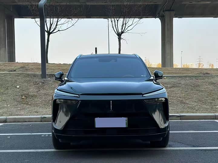 Фото 2 - Wey Lanshan