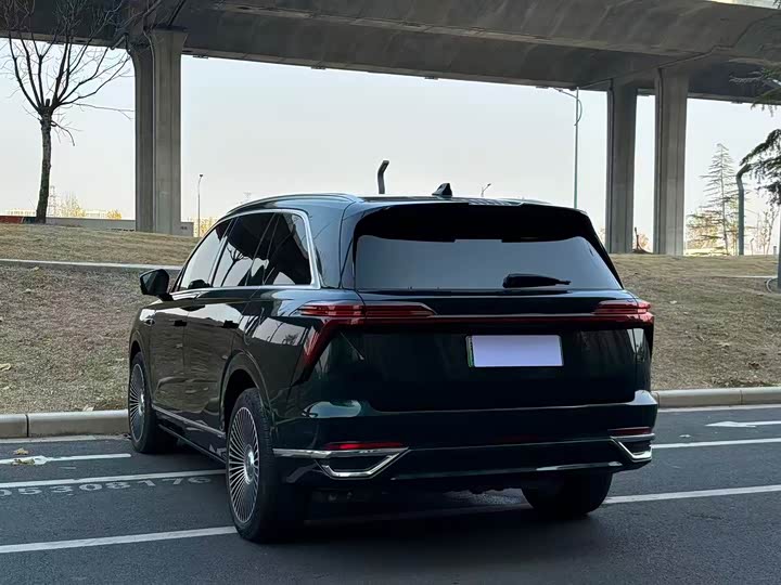 Фото 7 - Wey Lanshan