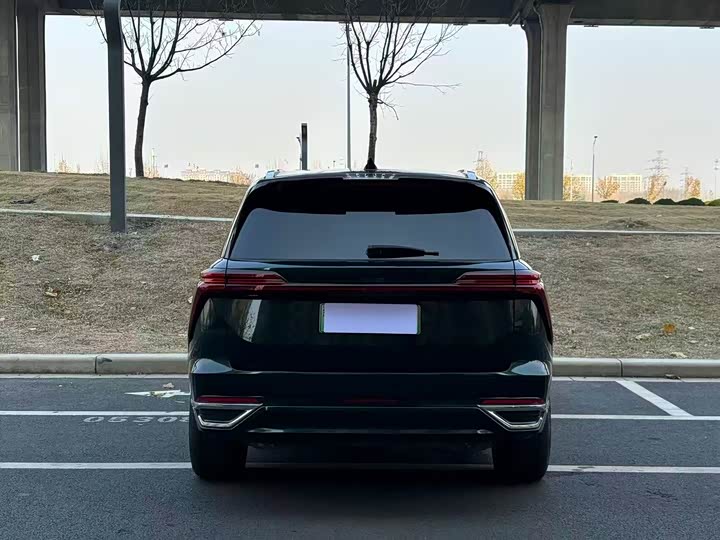 Фото 8 - Wey Lanshan