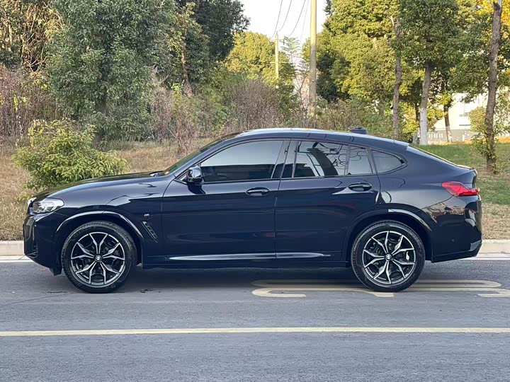 Фото 6 - BMW X4