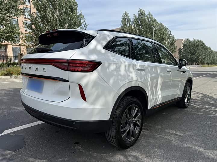 Фото 10 - Haval H6