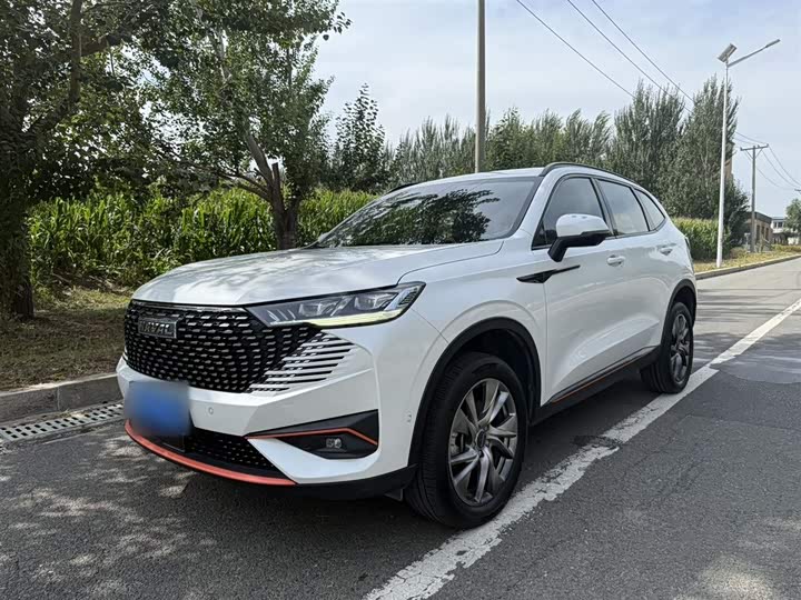 Фото 3 - Haval H6