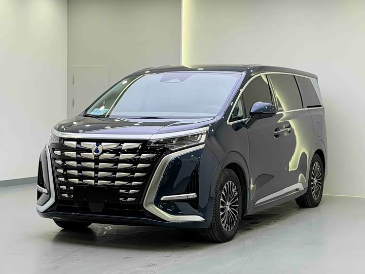 Фото 1 - Denza D9