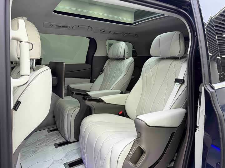 Фото 11 - Denza D9