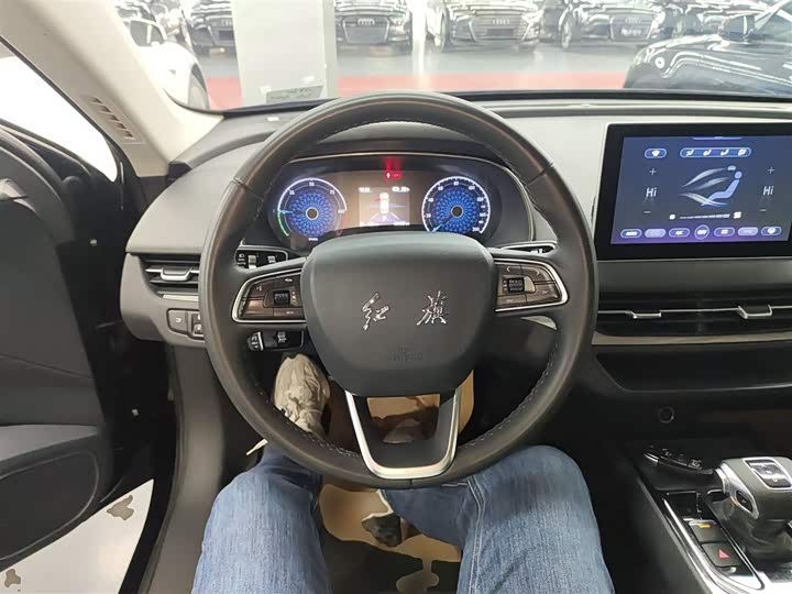 Фото 11 - Hongqi E-QM5