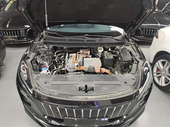 Фото 20 - Hongqi E-QM5