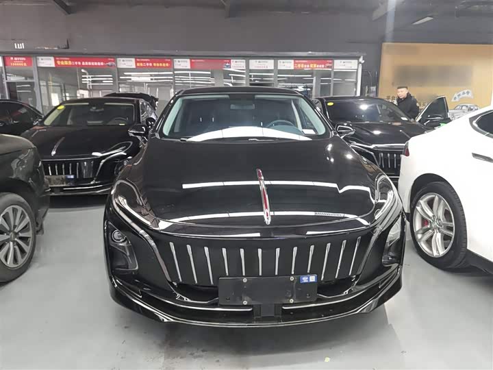 Фото 3 - Hongqi E-QM5