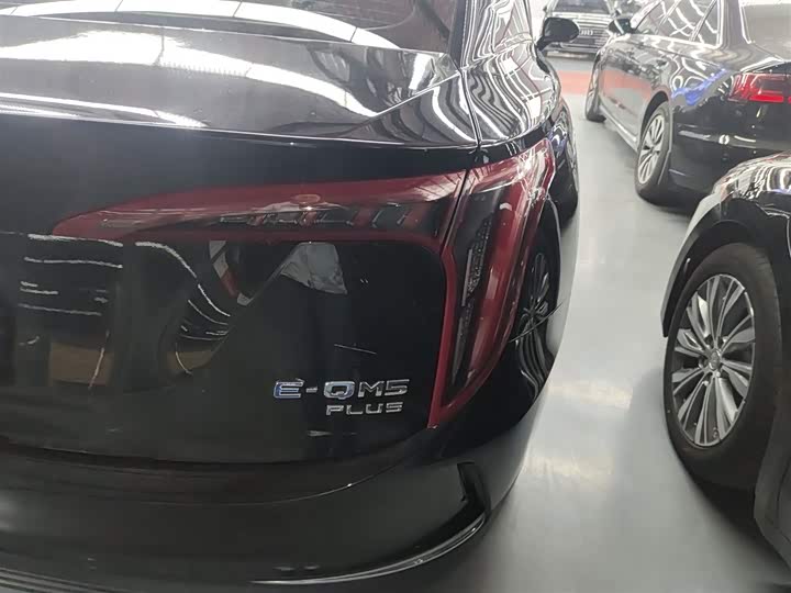 Фото 8 - Hongqi E-QM5