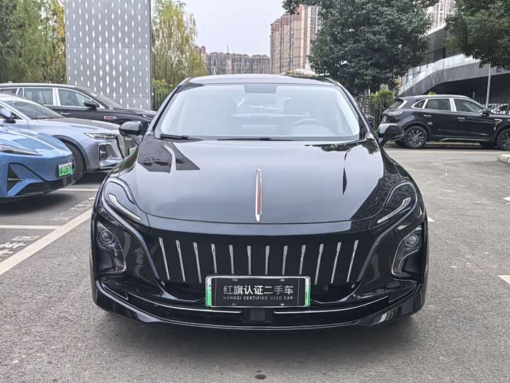 Фото 2 - Hongqi E-QM5