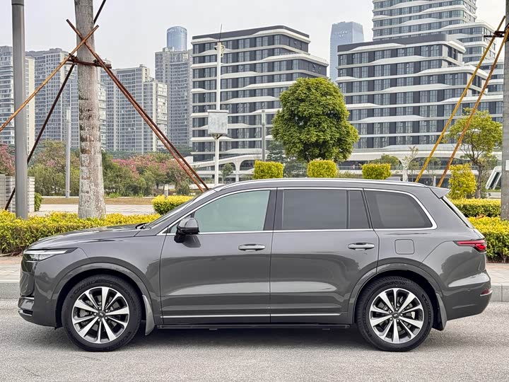 Фото 3 - LiXiang One