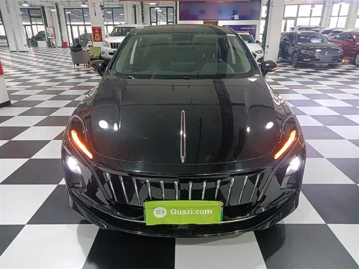 Фото 3 - Hongqi E-QM5