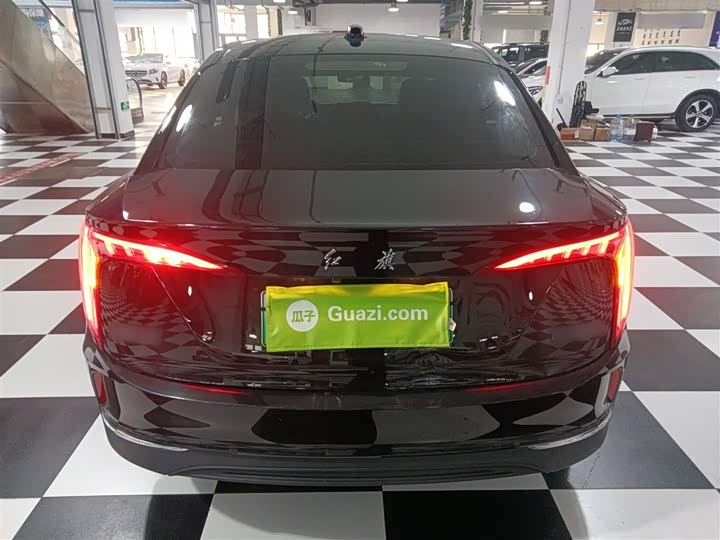 Фото 6 - Hongqi E-QM5