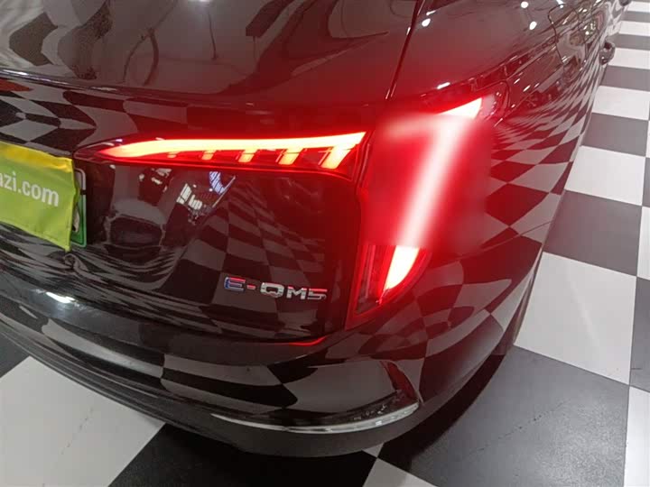 Фото 8 - Hongqi E-QM5