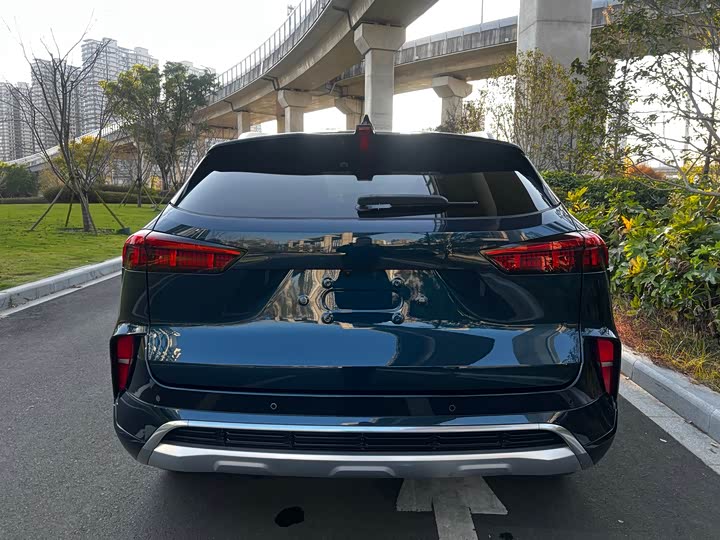 Фото 19 - Wey Mocha