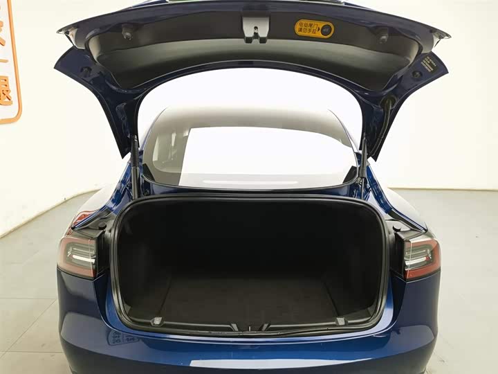 Фото 16 - Tesla Model 3