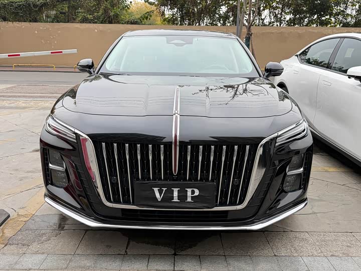 Фото 2 - Hongqi H5