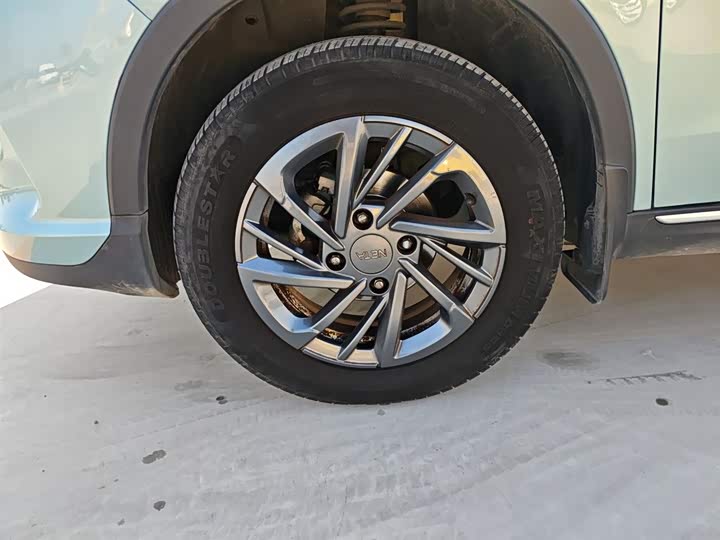 Фото 23 - Hozon V