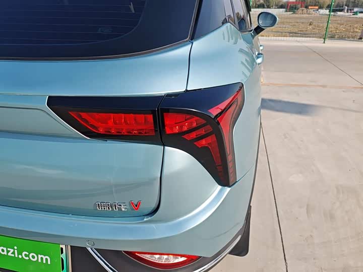 Фото 8 - Hozon V