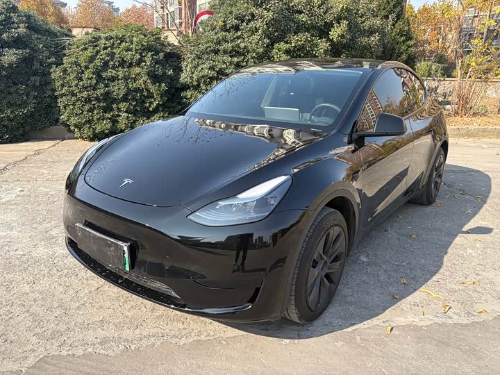 Фото 1 - Tesla Model Y