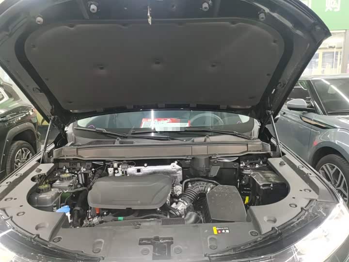 Фото 19 - Haval Ruge Max