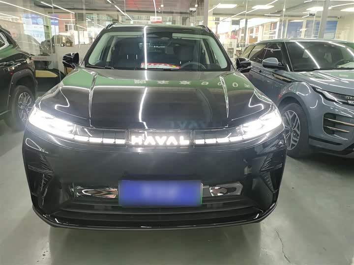Фото 3 - Haval Ruge Max