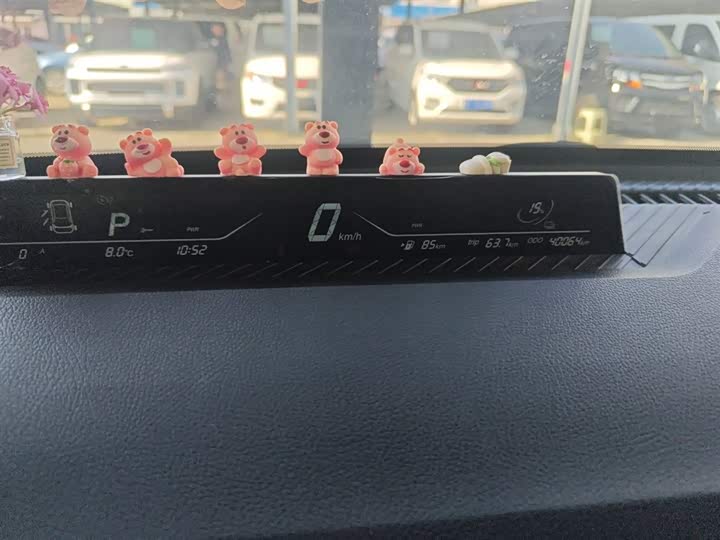 Фото 12 - Hozon V