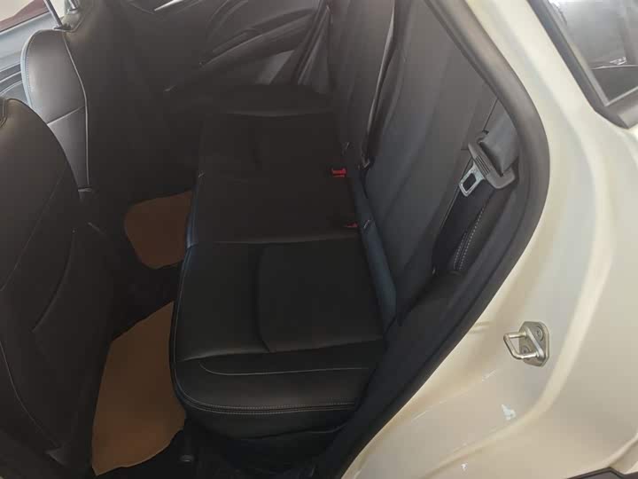 Фото 17 - Hozon V