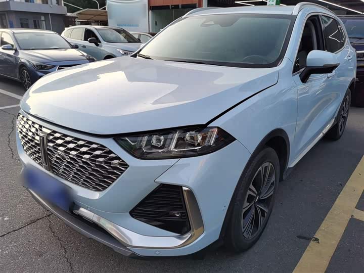 Фото 1 - Wey Latte DHT