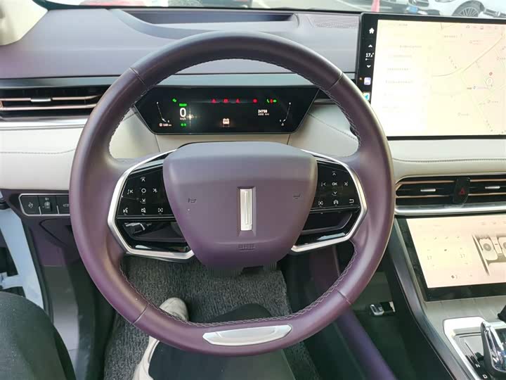 Фото 11 - Wey Latte DHT