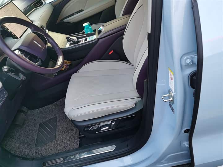 Фото 15 - Wey Latte DHT