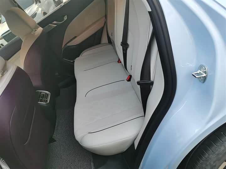 Фото 17 - Wey Latte DHT