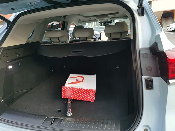 Фото 19 - Wey Latte DHT