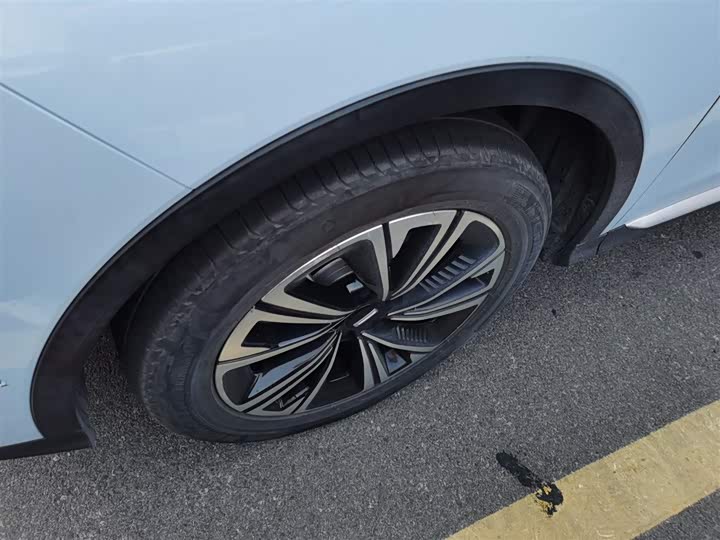 Фото 23 - Wey Latte DHT