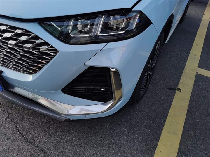 Фото 24 - Wey Latte DHT