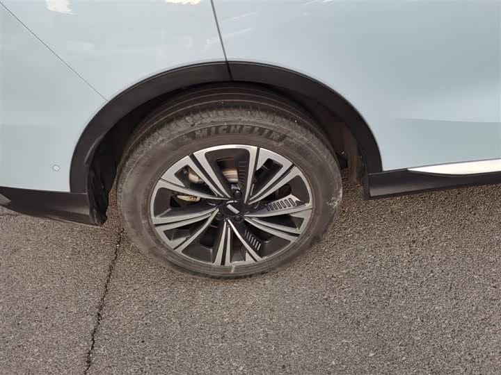 Фото 26 - Wey Latte DHT