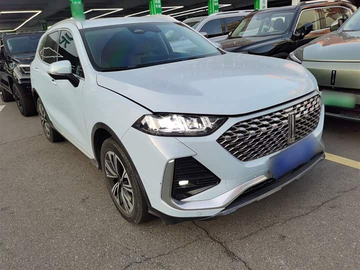 Фото 4 - Wey Latte DHT