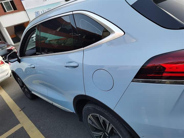 Фото 5 - Wey Latte DHT