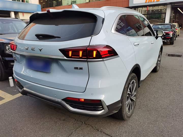 Фото 7 - Wey Latte DHT