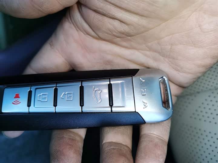 Фото 9 - Wey Latte DHT