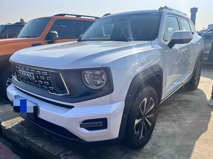 Фото 1 - Haval H-Dog