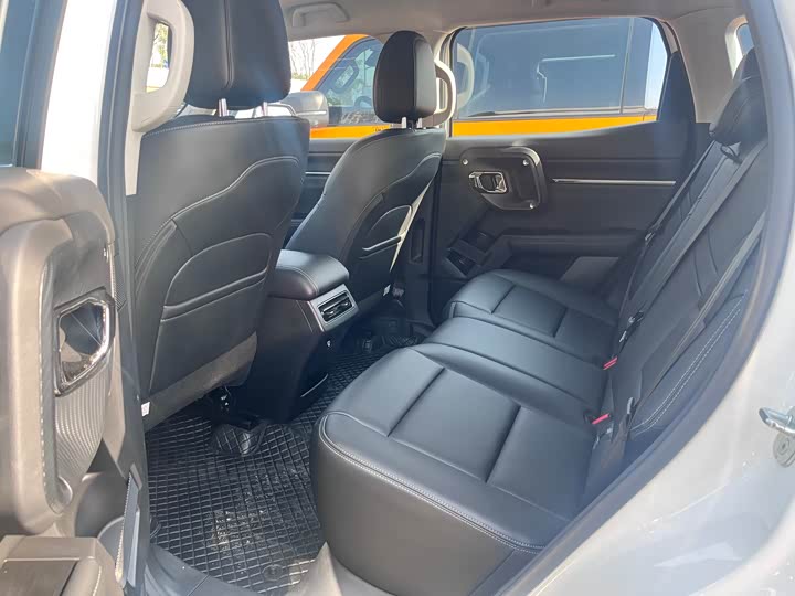 Фото 11 - Haval H-Dog