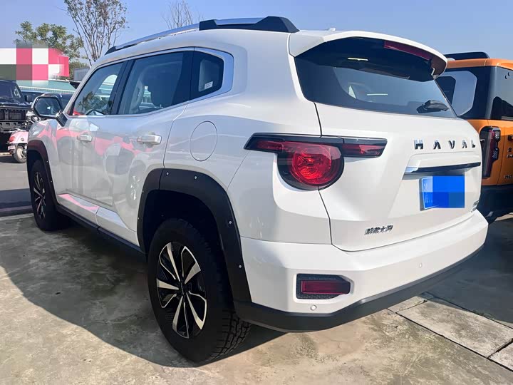 Фото 13 - Haval H-Dog