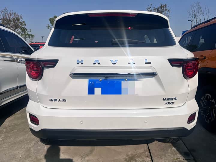 Фото 14 - Haval H-Dog
