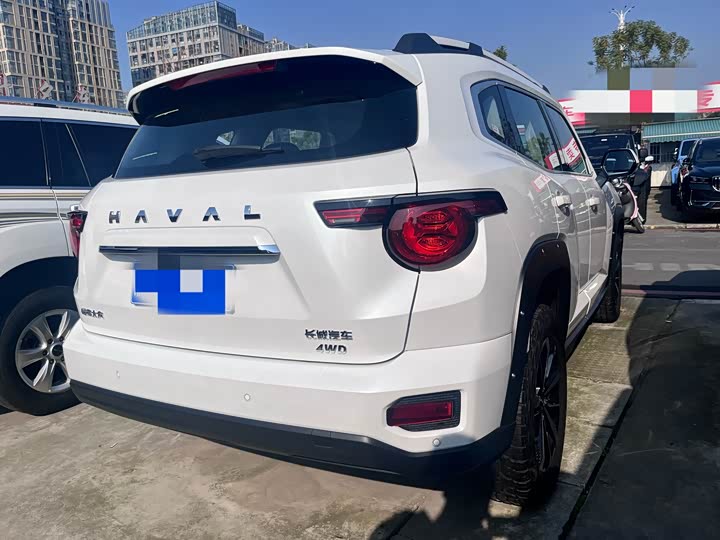 Фото 15 - Haval H-Dog