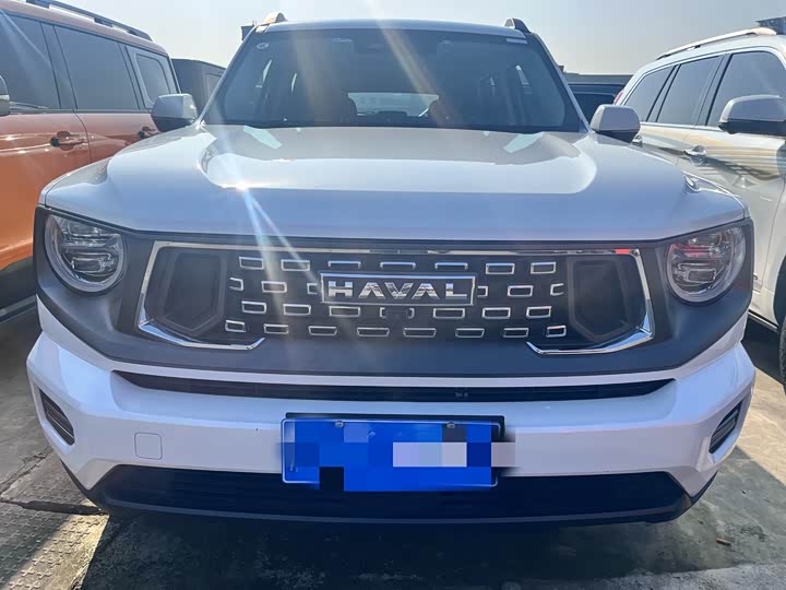 Фото 2 - Haval H-Dog