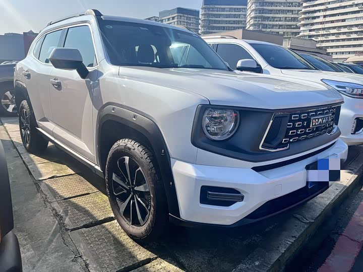 Фото 3 - Haval H-Dog