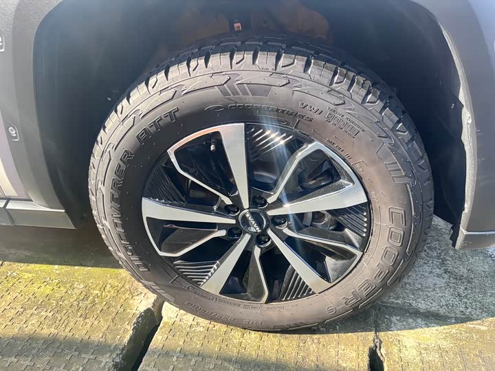 Фото 5 - Haval H-Dog