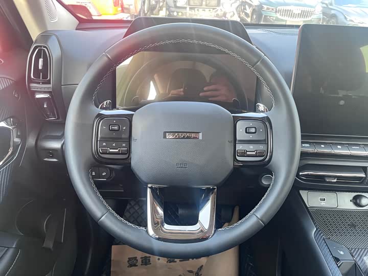 Фото 9 - Haval H-Dog